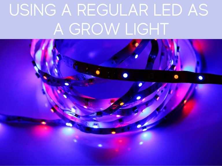 Can Regular LED Lights Be Used As Grow Lights? - Greenhouse Today
